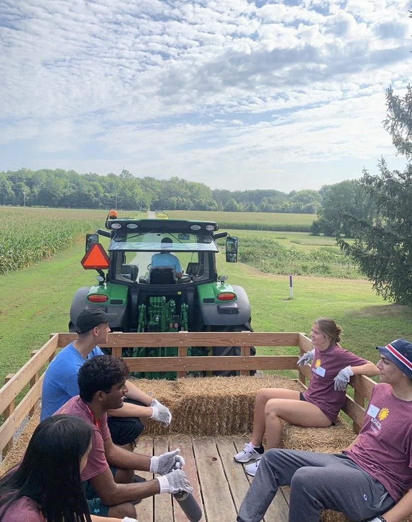 Terp Farm Tree Planting